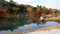 Taman Tenryu-ji dengan kolam dan pemandangan cantik di sekelilingnya