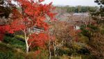 Ini Destinasi Favorit Kalau ke Kota Kyoto Jepang