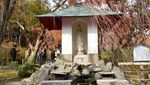 Ini Destinasi Favorit Kalau ke Kota Kyoto Jepang