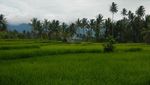 Ini Dia 3 Danau Cantik di Sumatera Barat