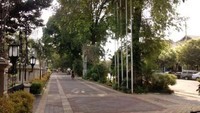 Solo City Walk yang rindang (dededhydepr.blogspot.com)
