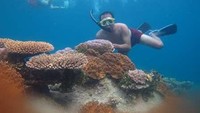Snorkeling di Karimunjawa (Aghnesia Christa/dTraveler)
