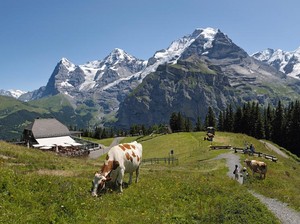 Ini Dia 5 Alasan Kenapa Anda Harus ke Swiss