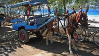 Cidomo (sumber: skepat-lombok.blogspot.com)