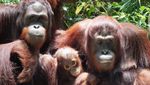 Ini Dia 5 Kebun Binatang Terbaik di Dunia!