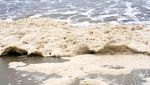 Ini Dia 5 Pantai Paling Nggak Banget di Dunia