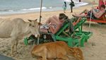 Ini Dia 5 Pantai Paling Nggak Banget di Dunia