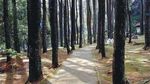 Ini Dia 5 Taman Kota Paling Asyik di Pulau Jawa