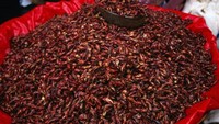 Belalang goreng (sumber: lonelyplanet.com)