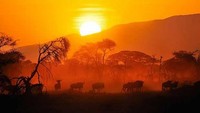 Kehidupan di Afrika (lifestyle.topnewstoday.org)