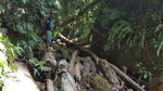 Ini Dia Air Terjun Tersembunyi di Sumatera Barat