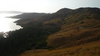 Bukit-bukit bak berkarpetkan permadani