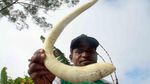Ini Dia Cara Membuat Koteka