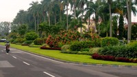 Ijen Boulevard (sumber: virginmojito.wordpress.com)
