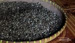 Ini Dia Luwak di Lampung, Penghasil Kopi Paling Nikmat Sedunia