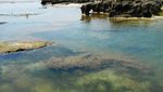 Ini Dia Pantai Cantik yang Masih Sepi di Garut