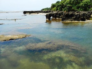 Ini Dia Pantai Cantik yang Masih Sepi di Garut