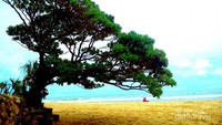 Pantai Pok Tunggal