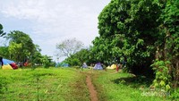 Camping di Bibir Pantai