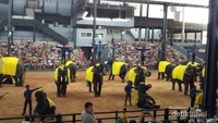 Atraksi persana gajah saat memasuki arena.