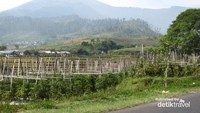 Gunung Slamet