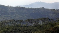 Perbukitan asri di Gunung Padang (Rengga Sencaya/detikFoto)