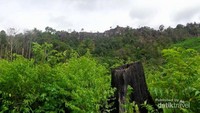 Kembaran Tembok Besar Tingkok dilihat dari kejauhan