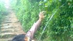 Ini Gunung di Magelang yang Pas untuk Pemula