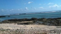 Batu karang pantai