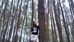 Ini Hutan Pinus yang Cantik di Sekitaran Yogyakarta