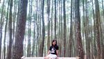 Ini Hutan Pinus yang Cantik di Sekitaran Yogyakarta