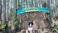 Hutan Pinus Mangunan