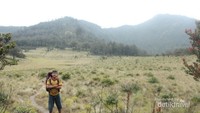 Sabana Sendang Tapak Menjangan