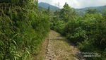 Ini Jalur Paling Dahsyat Mendaki Gunung Arjuno Ini Jalur Paling Dahsyat Mendaki Gunung Arjuno