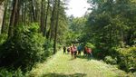 Ini Jalur Paling Dahsyat Mendaki Gunung Arjuno Ini Jalur Paling Dahsyat Mendaki Gunung Arjuno