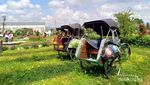 Ini Jogja Agro Tekno Park, Tempat Wisata Cantik yang Tersembunyi