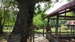 Ini Killing Field, Kuburan Massal Paling Mengerikan Kamboja