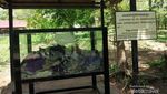 Ini Killing Field, Kuburan Massal Paling Mengerikan Kamboja