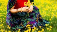 Bunga-bunga gladiol yang tumbuh secara liar saat bulan desember hingga maret pun ikut mempercantik kabupaten ini.