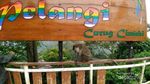 Ini Loh Air Terjun yang Lagi Hits di Bandung Barat