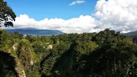 Ngarai di antara pepohonan dan langit biru