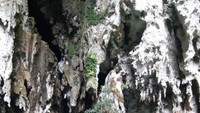akhir dari jembatan kayu