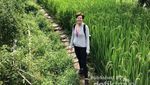 Ini Nih, Curug Kebanggaan Warga Subang