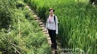 Jalan setapak yang terbuat dari batu