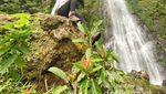 Ini Nih, Curug Kebanggaan Warga Subang