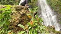 Curug Cibareubeuy setinggi 40 meter