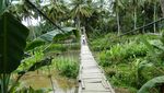 Ini Nih Pantai Tersembunyi nan Cantik di Desa Sawarna