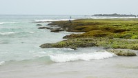 Lanskap Pantai Legon Pari