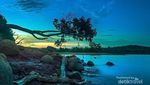 Ini Nih Pulau Pinus Mungil di Tengah Danau