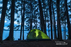 Ini Nih Pulau Pinus Mungil di Tengah Danau